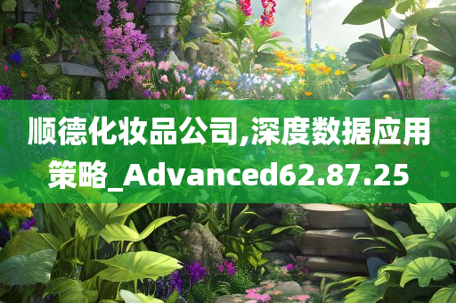 顺德化妆品公司,深度数据应用策略_Advanced62.87.25