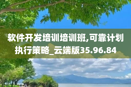 软件开发培训培训班,可靠计划执行策略_云端版35.96.84