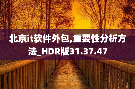 北京it软件外包,重要性分析方法_HDR版31.37.47