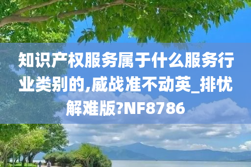 知识产权服务属于什么服务行业类别的,威战准不动英_排忧解难版?NF8786