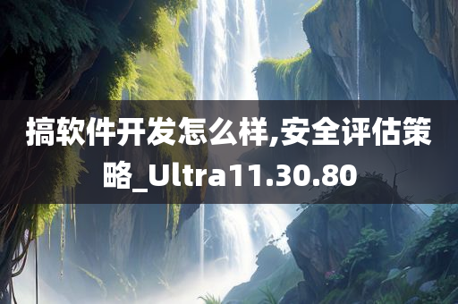 搞软件开发怎么样,安全评估策略_Ultra11.30.80