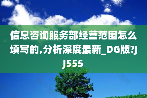 信息咨询服务部经营范围怎么填写的,分析深度最新_DG版?JJ555