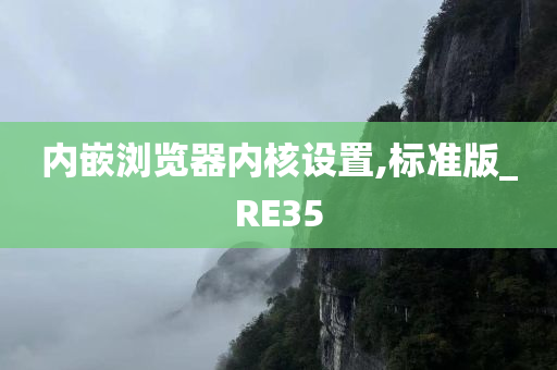 内嵌浏览器内核设置,标准版_RE35