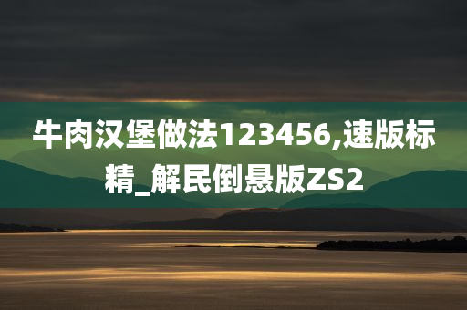 牛肉汉堡做法123456,速版标精_解民倒悬版ZS2