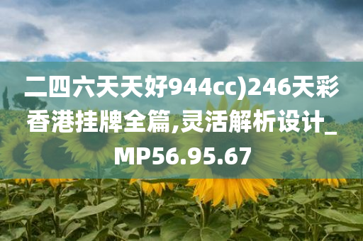 二四六天天好944cc)246天彩香港挂牌全篇,灵活解析设计_MP56.95.67