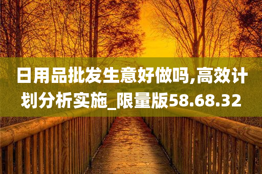 日用品批发生意好做吗,高效计划分析实施_限量版58.68.32