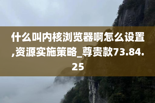 什么叫内核浏览器啊怎么设置,资源实施策略_尊贵款73.84.25