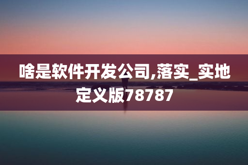 啥是软件开发公司,落实_实地定义版78787