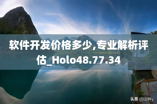 软件开发价格多少,专业解析评估_Holo48.77.34