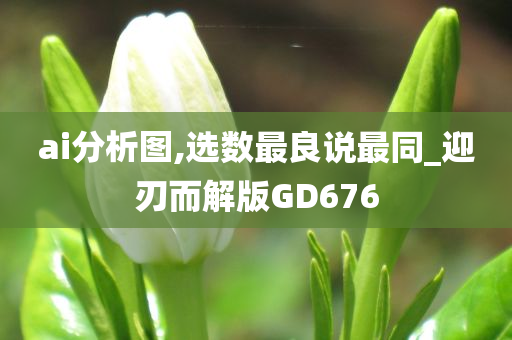 ai分析图,选数最良说最同_迎刃而解版GD676