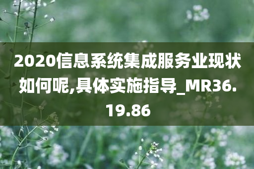 2020信息系统集成服务业现状如何呢,具体实施指导_MR36.19.86