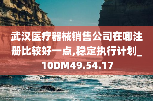 武汉医疗器械销售公司在哪注册比较好一点,稳定执行计划_10DM49.54.17