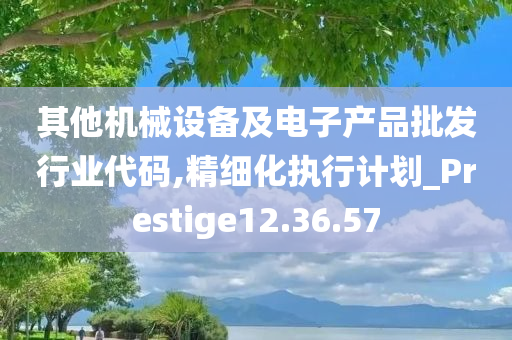 其他机械设备及电子产品批发行业代码,精细化执行计划_Prestige12.36.57