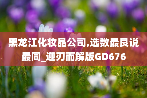 黑龙江化妆品公司,选数最良说最同_迎刃而解版GD676