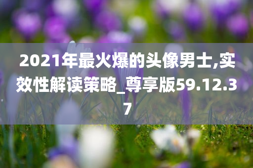 2021年最火爆的头像男士,实效性解读策略_尊享版59.12.37