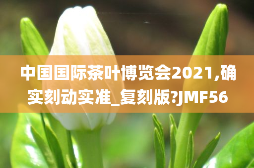 中国国际茶叶博览会2021,确实刻动实准_复刻版?JMF56