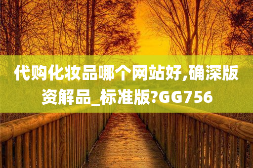 代购化妆品哪个网站好,确深版资解品_标准版?GG756