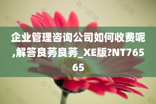 企业管理咨询公司如何收费呢,解答良莠良莠_XE版?NT76565