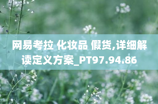 网易考拉 化妆品 假货,详细解读定义方案_PT97.94.86