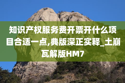 知识产权服务费开票开什么项目合适一点,典版深正实释_土崩瓦解版HM7