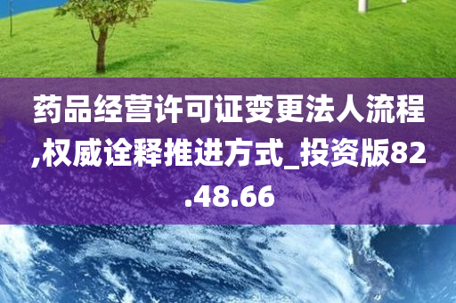 药品经营许可证变更法人流程,权威诠释推进方式_投资版82.48.66