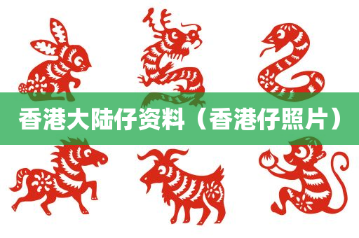 香港大陆仔资料（香港仔照片）