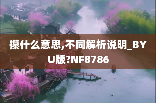 攥什么意思,不同解析说明_BYU版?NF8786