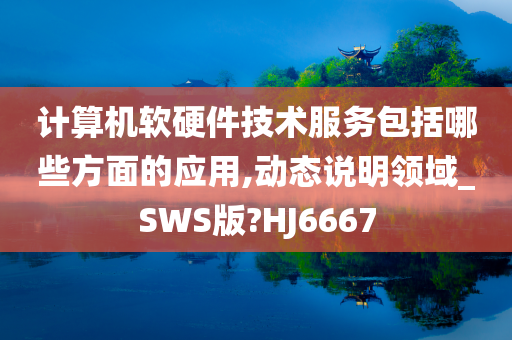 计算机软硬件技术服务包括哪些方面的应用,动态说明领域_SWS版?HJ6667