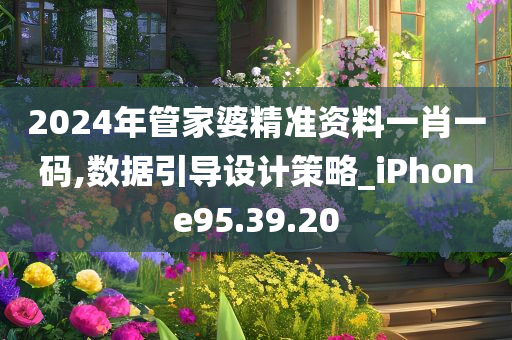 2024年管家婆精准资料一肖一码,数据引导设计策略_iPhone95.39.20