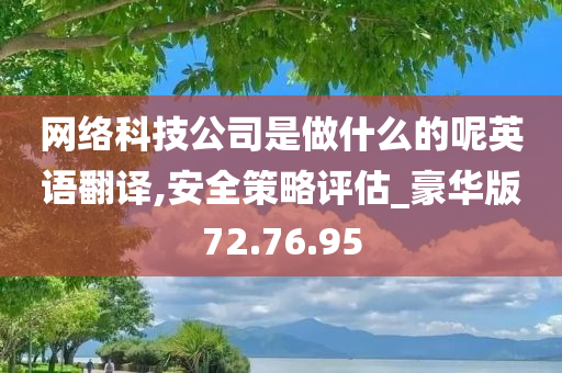 网络科技公司是做什么的呢英语翻译,安全策略评估_豪华版72.76.95