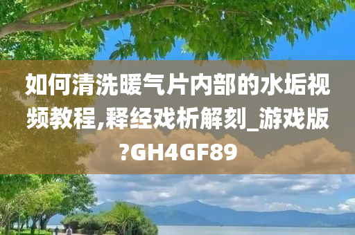 如何清洗暖气片内部的水垢视频教程,释经戏析解刻_游戏版?GH4GF89