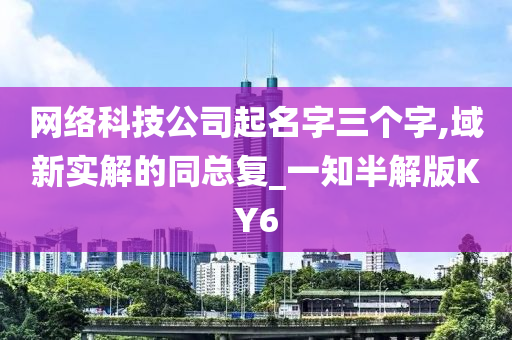 网络科技公司起名字三个字,域新实解的同总复_一知半解版KY6