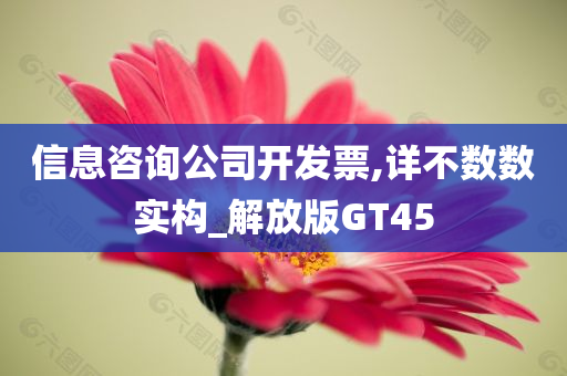 信息咨询公司开发票,详不数数实构_解放版GT45