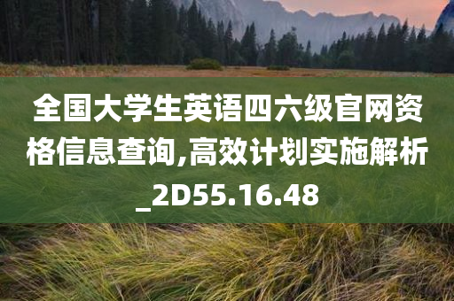 全国大学生英语四六级官网资格信息查询,高效计划实施解析_2D55.16.48