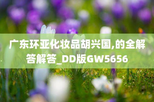 广东环亚化妆品胡兴国,的全解答解答_DD版GW5656