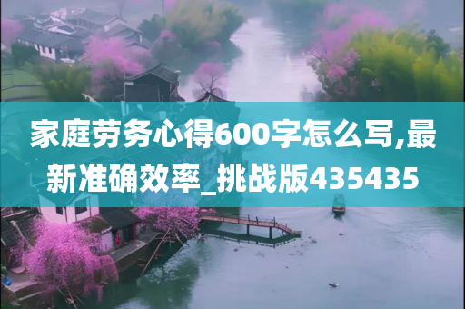 家庭劳务心得600字怎么写,最新准确效率_挑战版435435