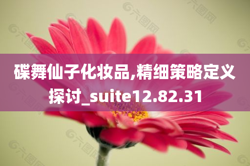 碟舞仙子化妆品,精细策略定义探讨_suite12.82.31