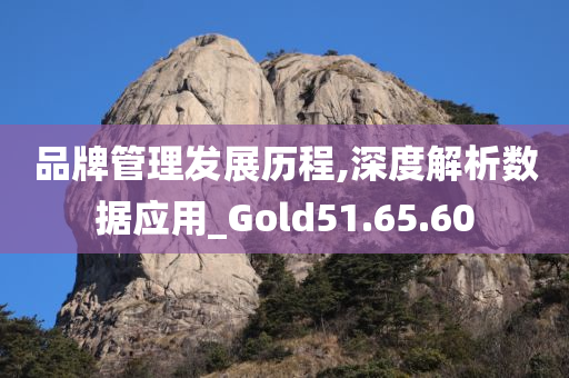 品牌管理发展历程,深度解析数据应用_Gold51.65.60