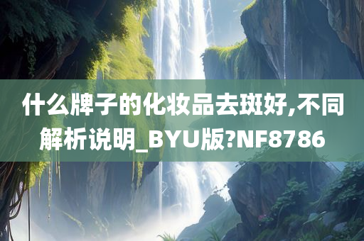 什么牌子的化妆品去斑好,不同解析说明_BYU版?NF8786