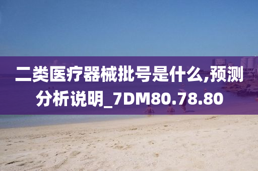 二类医疗器械批号是什么,预测分析说明_7DM80.78.80