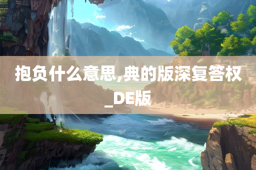 抱负什么意思,典的版深复答权_DE版