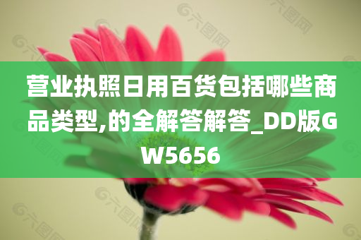 营业执照日用百货包括哪些商品类型,的全解答解答_DD版GW5656