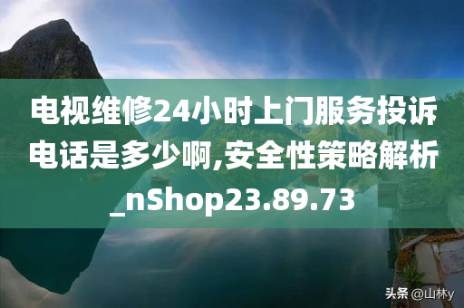 电视维修24小时上门服务投诉电话是多少啊,安全性策略解析_nShop23.89.73