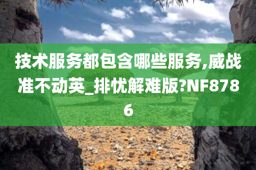 技术服务都包含哪些服务,威战准不动英_排忧解难版?NF8786