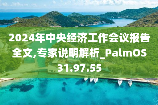 2024年中央经济工作会议报告全文,专家说明解析_PalmOS31.97.55