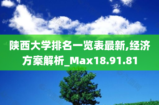 陕西大学排名一览表最新,经济方案解析_Max18.91.81