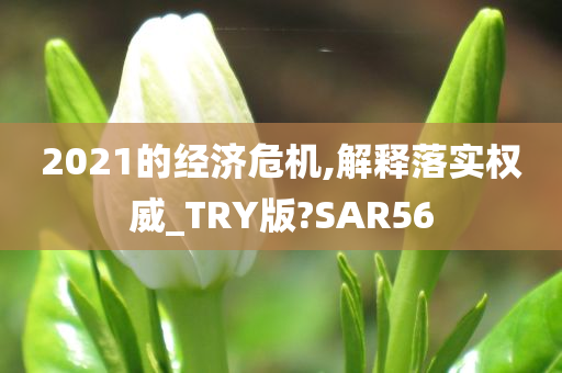 2021的经济危机,解释落实权威_TRY版?SAR56