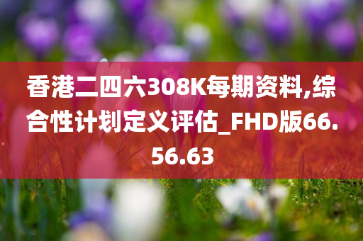 香港二四六308K每期资料,综合性计划定义评估_FHD版66.56.63