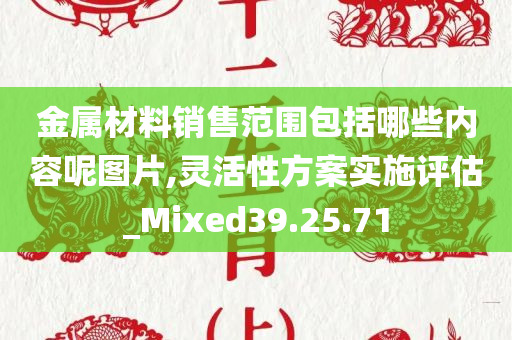 金属材料销售范围包括哪些内容呢图片,灵活性方案实施评估_Mixed39.25.71