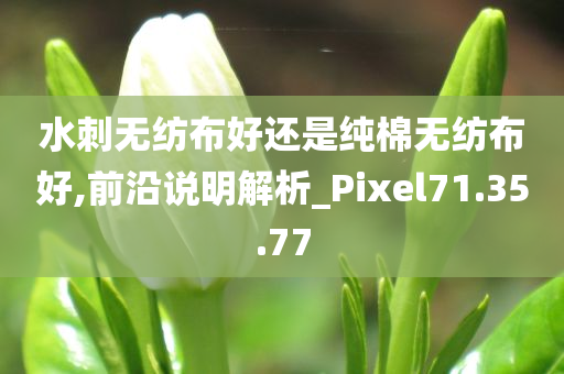 水刺无纺布好还是纯棉无纺布好,前沿说明解析_Pixel71.35.77